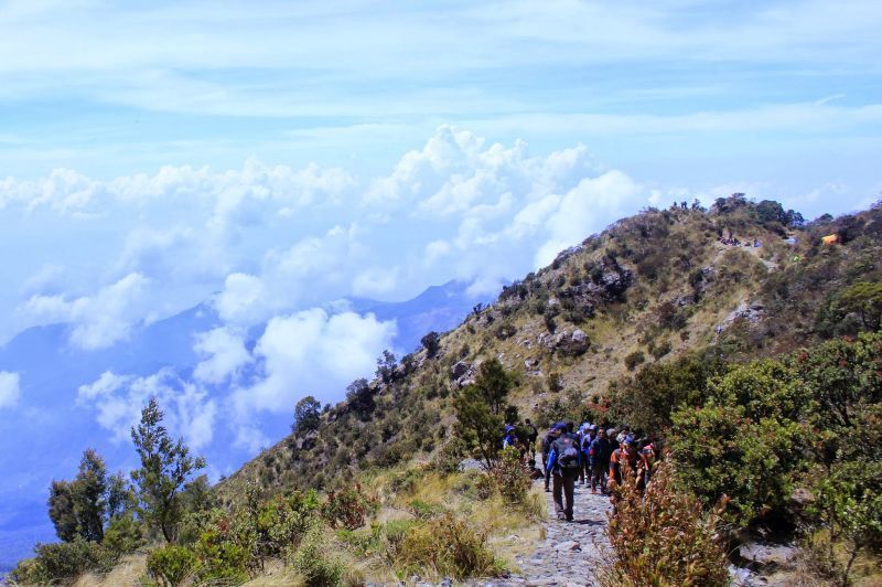 Negeri diatas awan