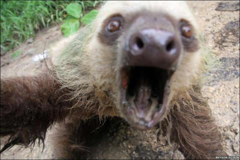 "Waaaaa!"