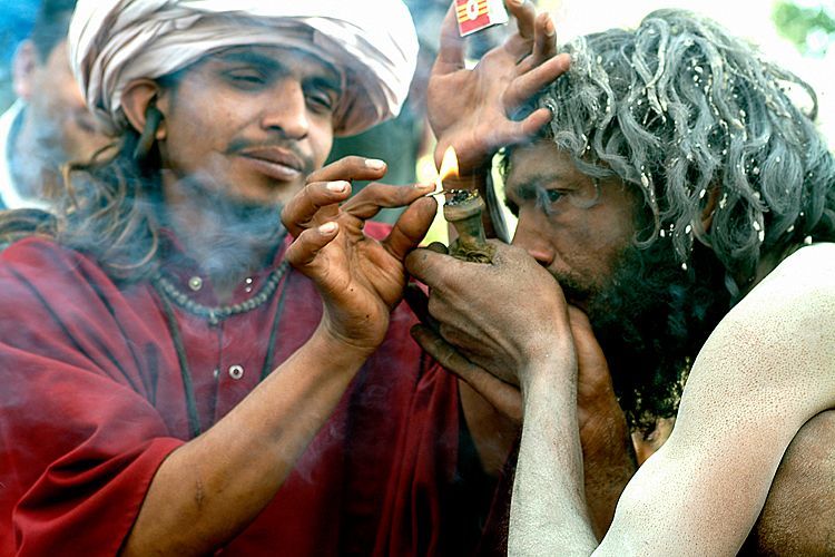 Penghisap Ganja India