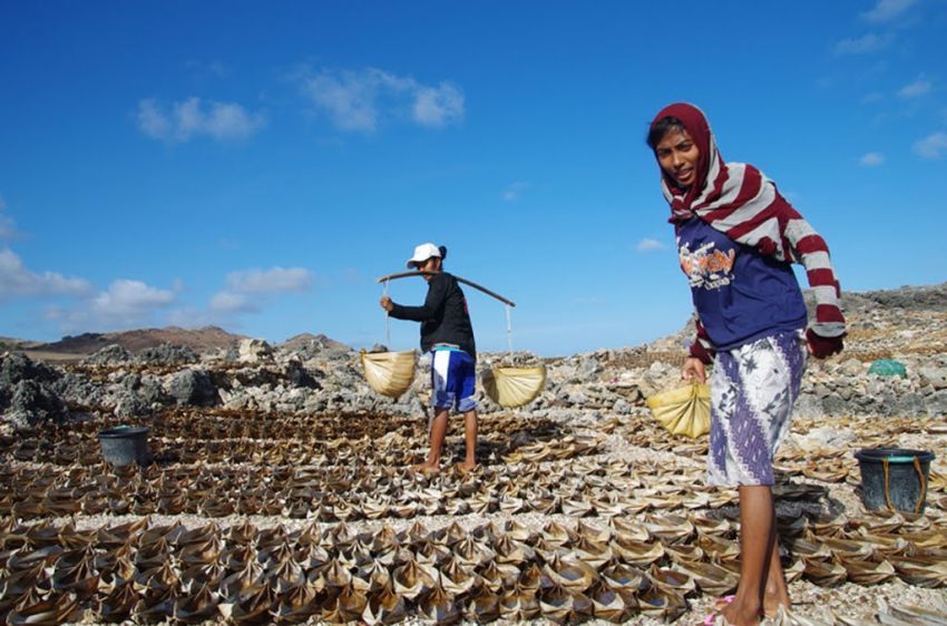 Petani garam di Pulau Sabu
