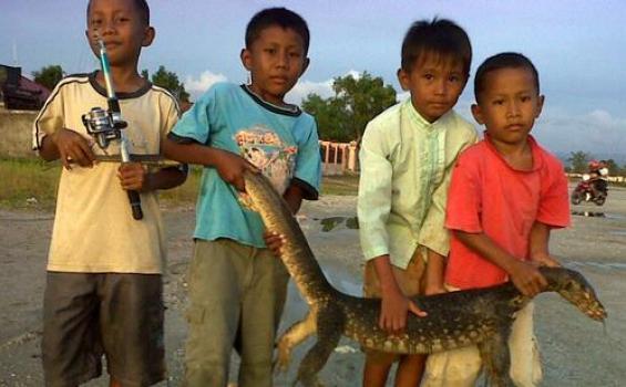 Bocah Biawak