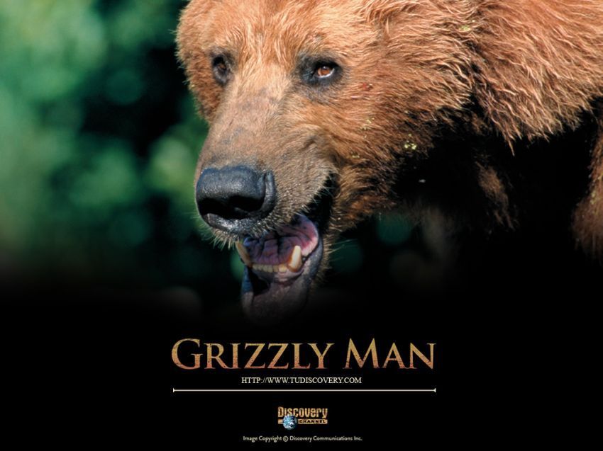 film grizzly man