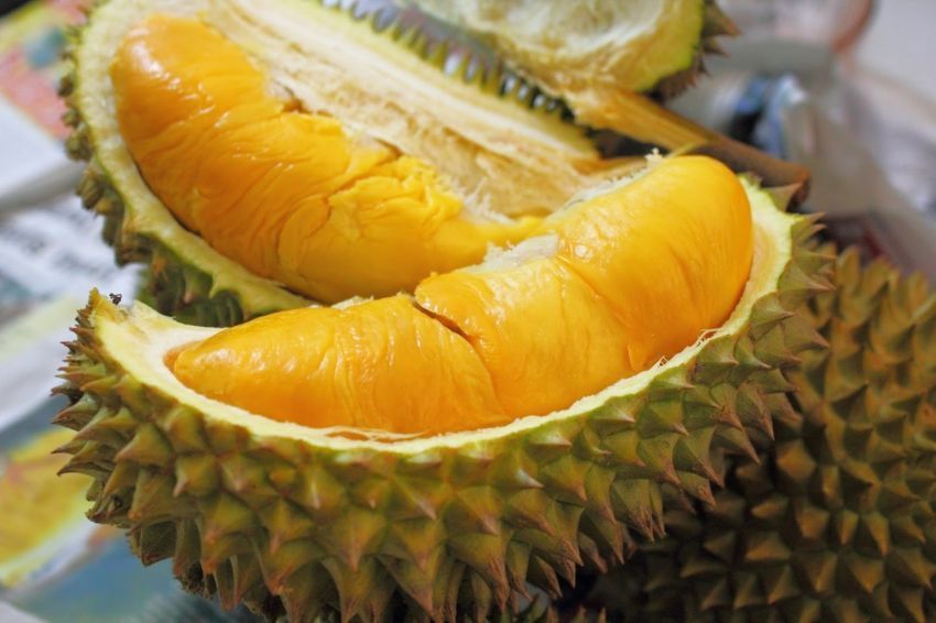Duren emang bisa mateng