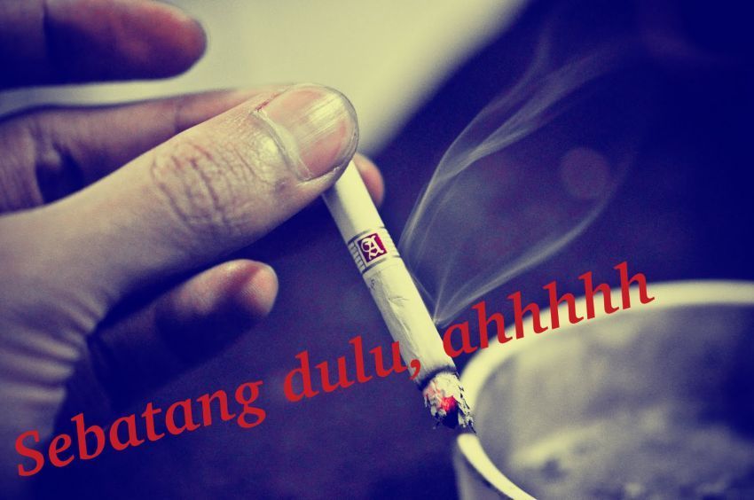 Definisi sebatang versi cowok: SEBAT