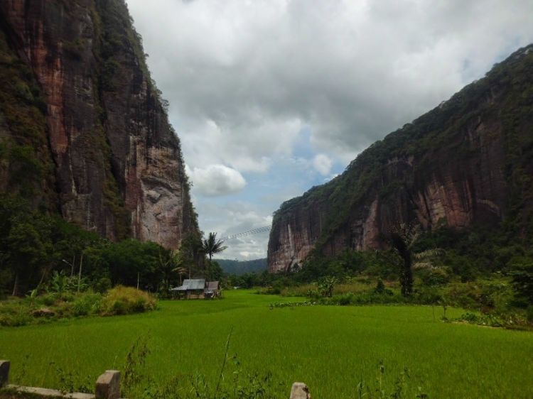 Panorama Lembah Harau (dokumen pribadi)