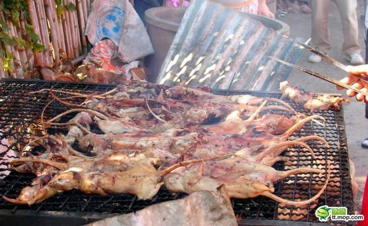 Tikus panggang