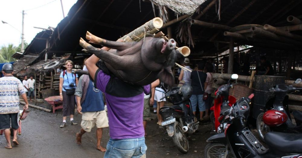 12 Pasar Unik Dari Berbagai Daerah yang Menunjukkan Betapa