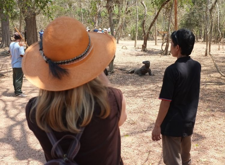 Ini dia si "raja" di pulau komodo