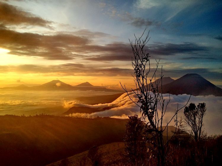 Gold sunrise di bukit sikunir