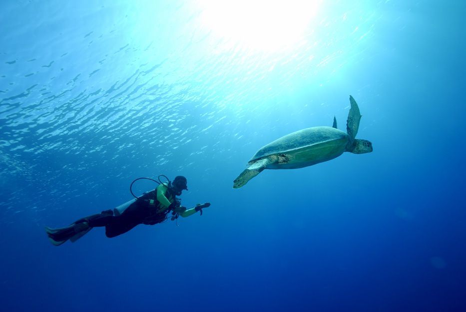 Kepulauan Derawan: Nirwana Kecil di Muka Bumi yang Menunggu Untuk Kamu