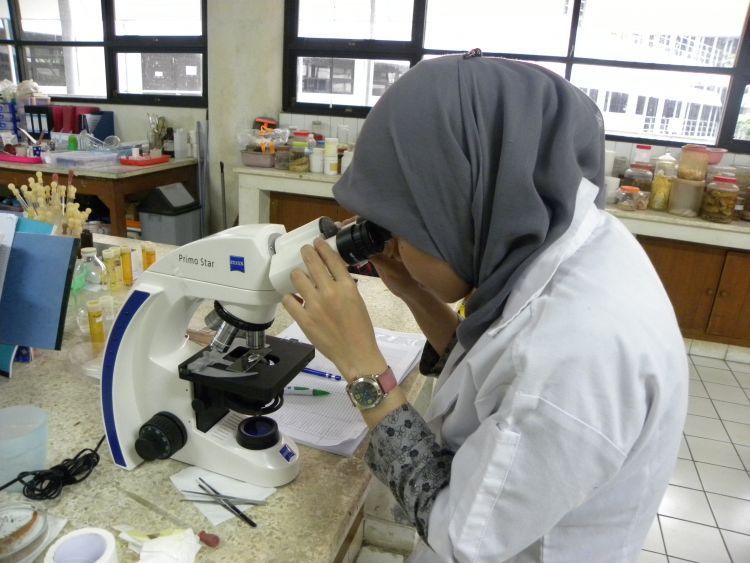 Mahasiswa asisten lab, yang rajin banget