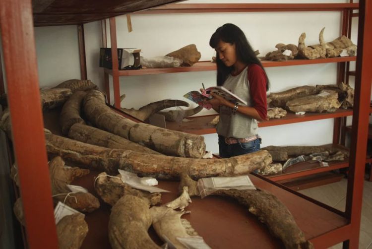 Museum Patiayam Kudus