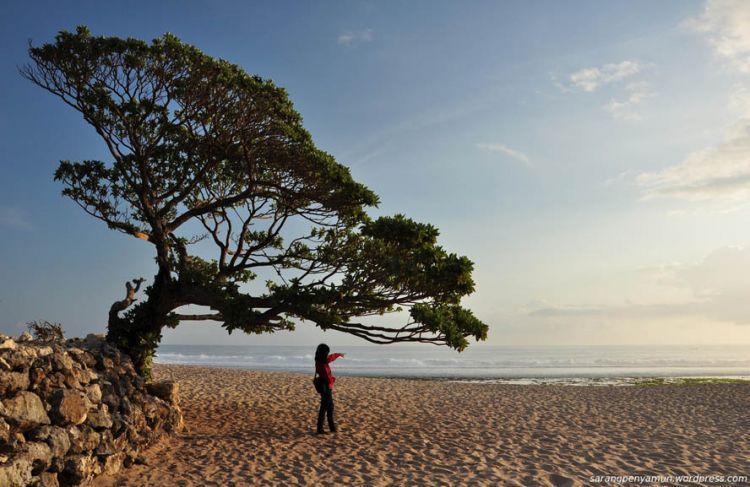 Pantai Pok Tunggal