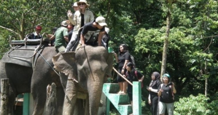 Menunggangi si Gajah (dok. pribadi)