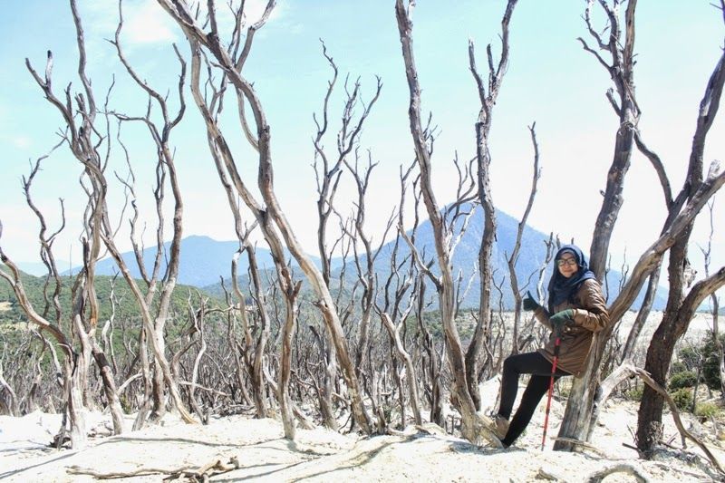 Yuk Simak 13+ Contoh Inspirasi Kata Kata Agar Orang Tua Mengizinkan Naik Gunung 