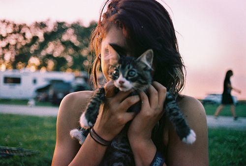 Bangga menjadi cat lady