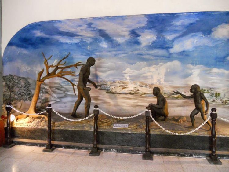 Salah satu sudut Museum Trinil