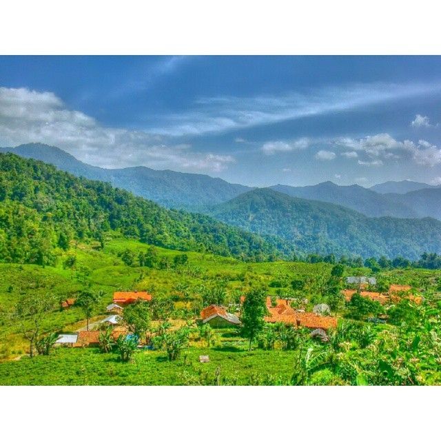 Pemanadangan perkampungan di Kebun teh Margawindu. Foto IG: @agusssuryadi