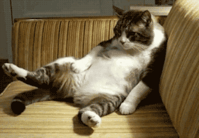 anigif_enhanced-7347-1434964491-2