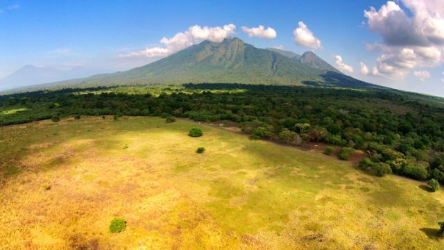 padang savana taman nasional Baluran