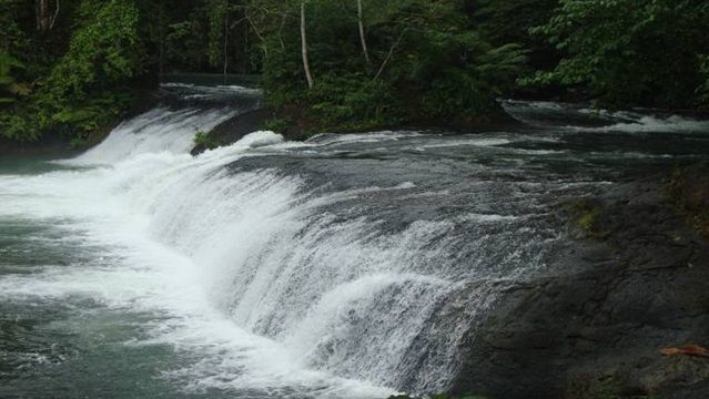 Air terjun dan hutan peawan