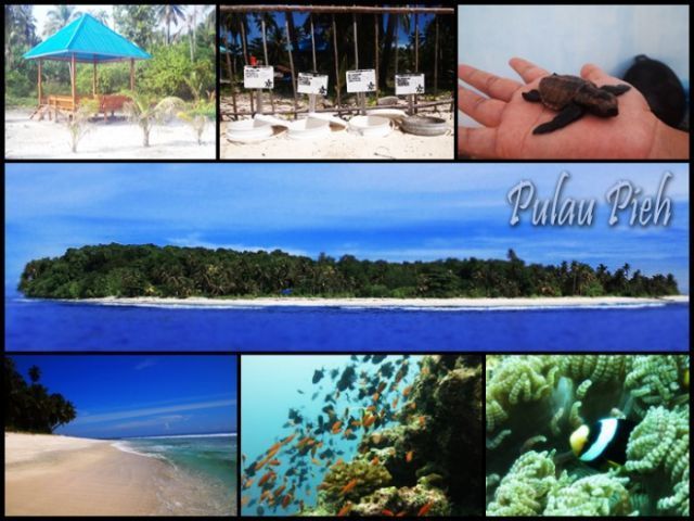 Pulau konservasi penyu