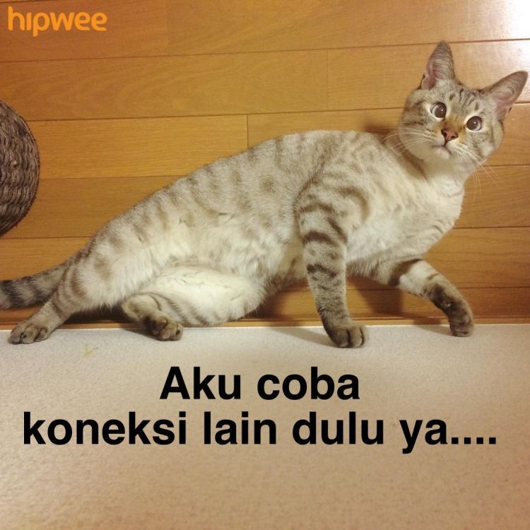 Sebentar. Aku mencoba koneksi lain dulu (Kredit: @tomiinya)