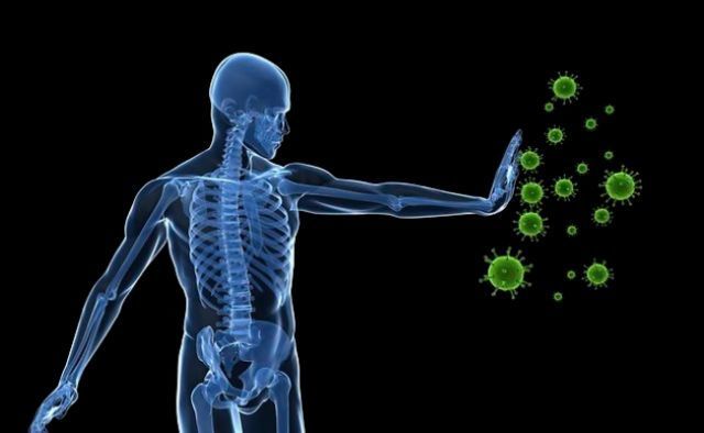 It boosts immunity