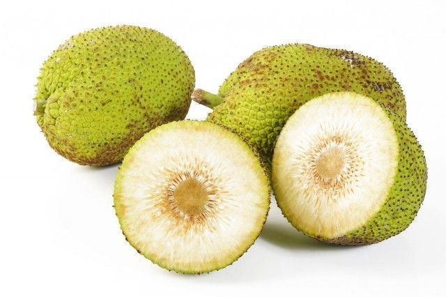 Sukun