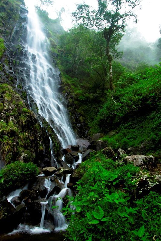 Air Terjun Pundak Kiwo