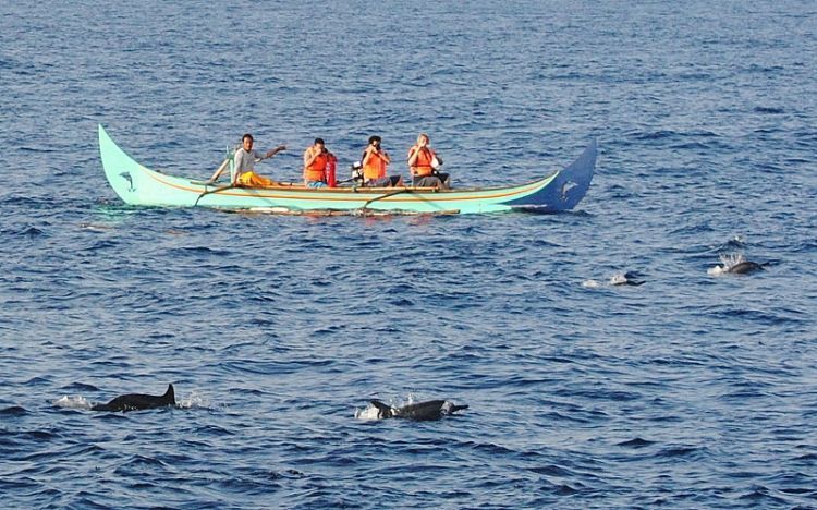 Teluk Kiluan