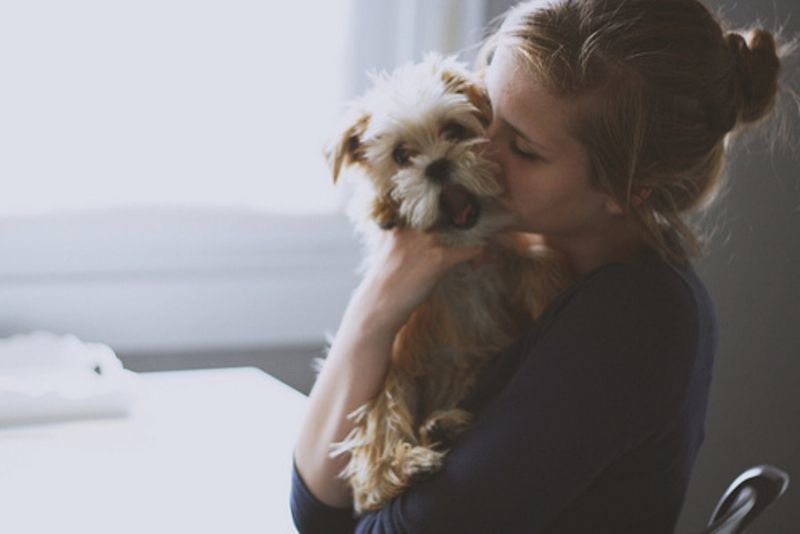 Bukan Sekadar Hewan Peliharaan Seperti Seorang Teman Anjing Pun