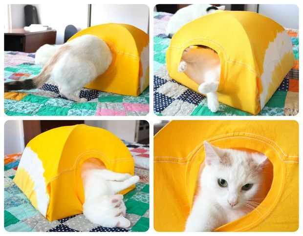 DIY Cat Tent