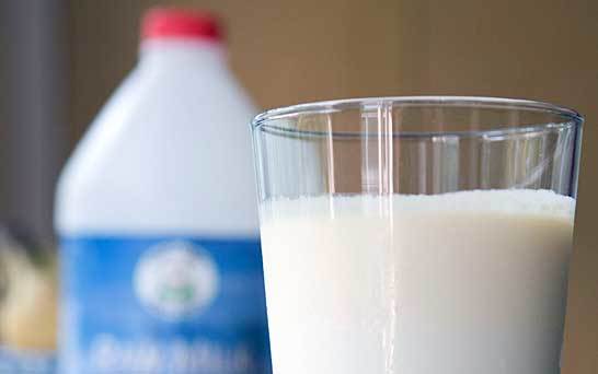 susu rendah lemak sumber energi