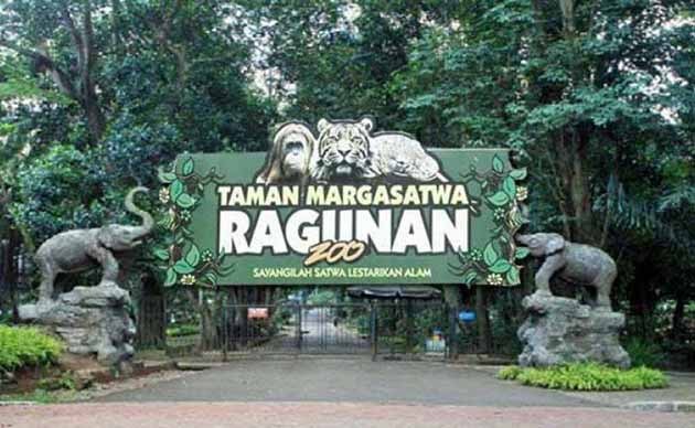 Kebun Binatang Ragunan