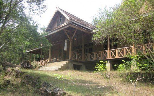 Museum Kayu Wanagama, Mempelajari Hasil Alam (pepohonan dan kayu) Indonesia