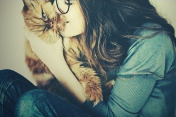 Новогодняя фотосессия у камина девушка в платье. Девушка в год кота. Фотографии рыжего кота возле елки. Девушка в год кота. Девушка с котиком.