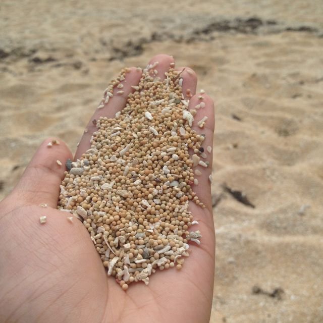 Pasir merica di Pantai Kuta Lombok