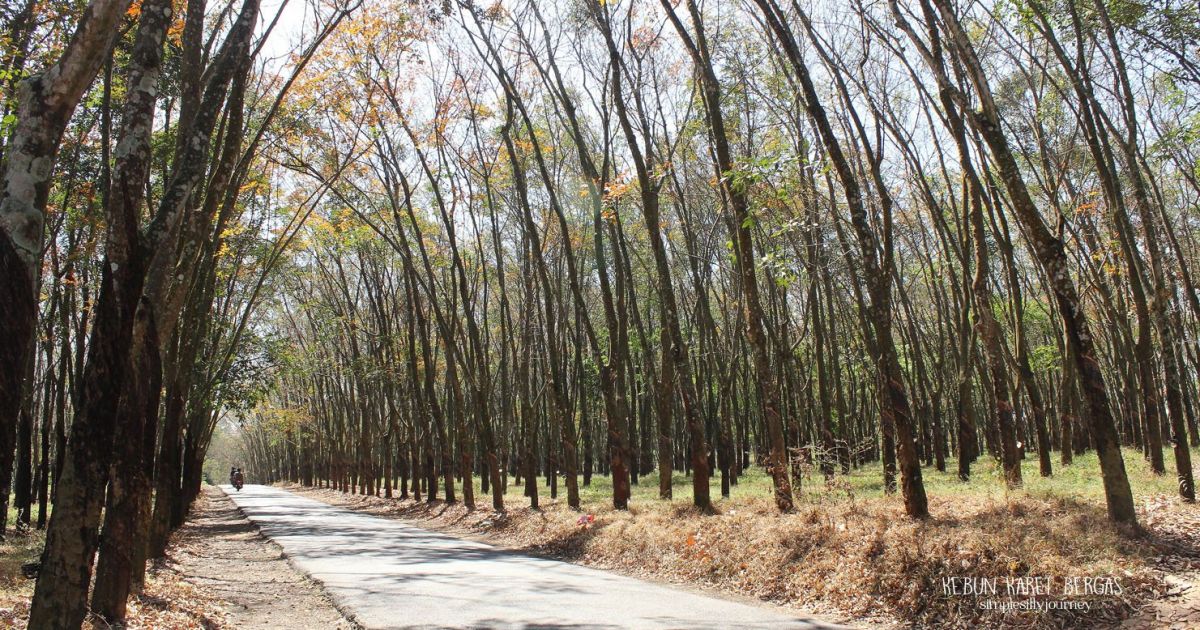 Tempat Wisata yang Keren Ini Sebenarnya Ada di Kabupaten Semarang