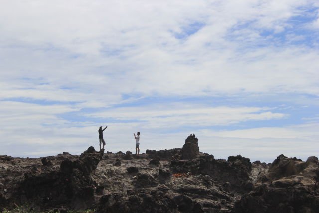 Foto ala-ala di gugusan karang