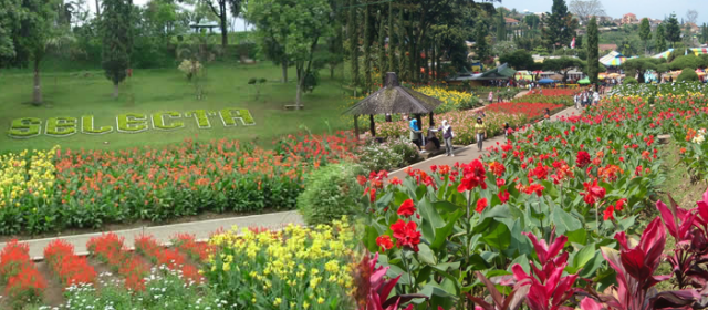 travel malang juanda batu