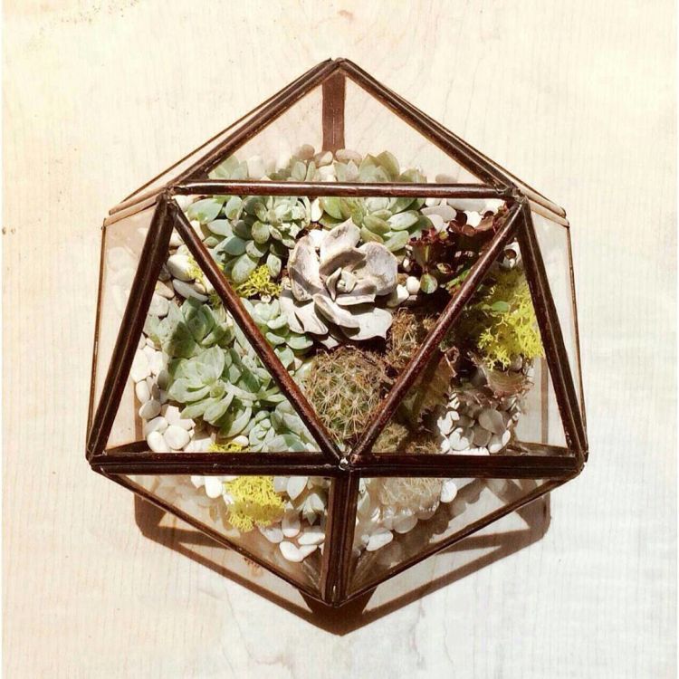 Terrarium kecil untuk pajangan @nimoart_official