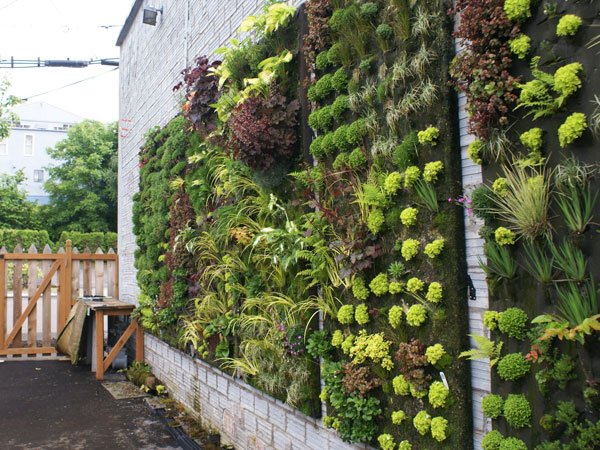 Vertical Garden Indoor & Outdoor Minimalis