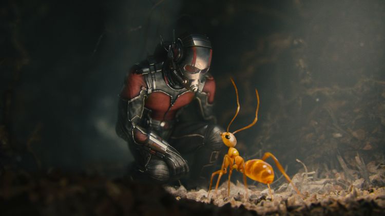 Superhero segede semut
