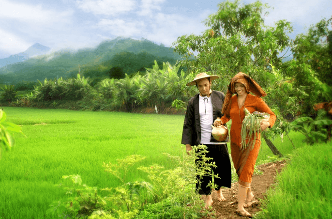 96 Gambar Pasangan Romantis Di Sawah HD Terbaik
