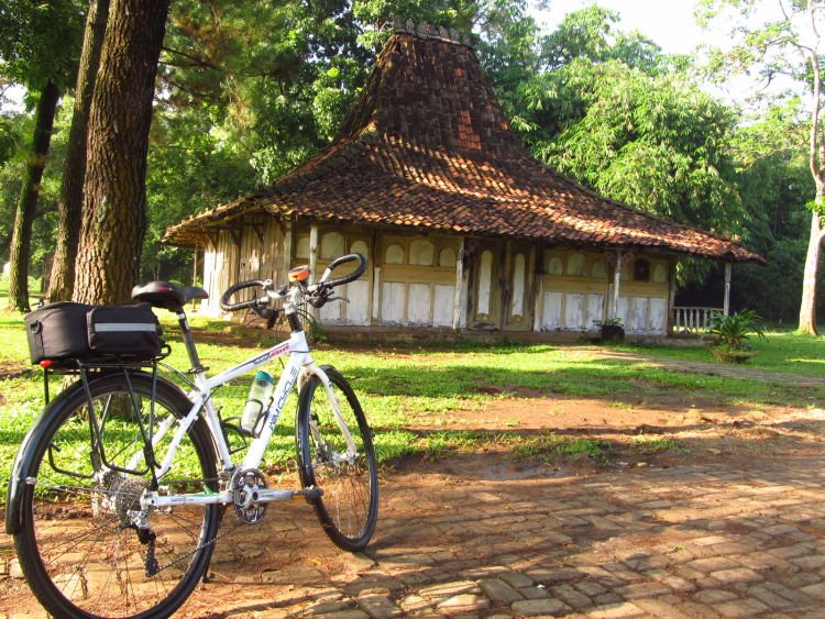 Gowes!