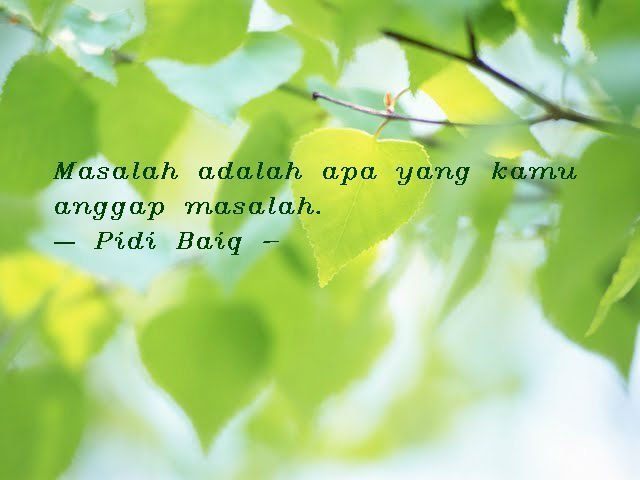 Let it flow aja...