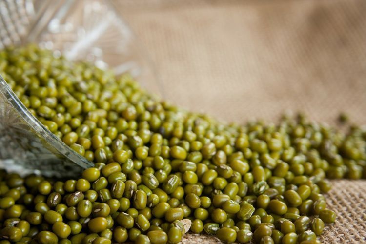 sari kacang hijau baik untuk gangguan asam lambung