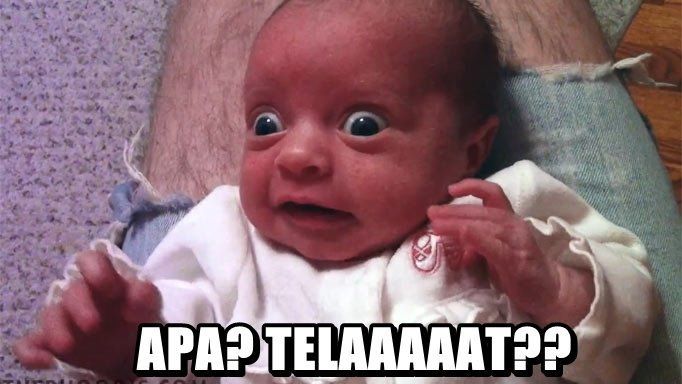 Asem tenan