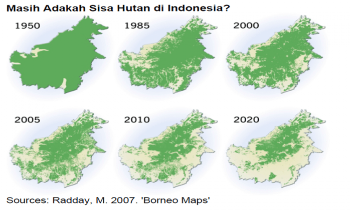 Kebakaran hutan yang disengaja menjadi salah satu penyebab makin berkurangnya luas hutan di Indonesia.